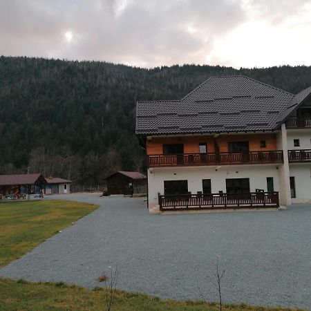 Pensiunea Armonia Albac Exterior photo
