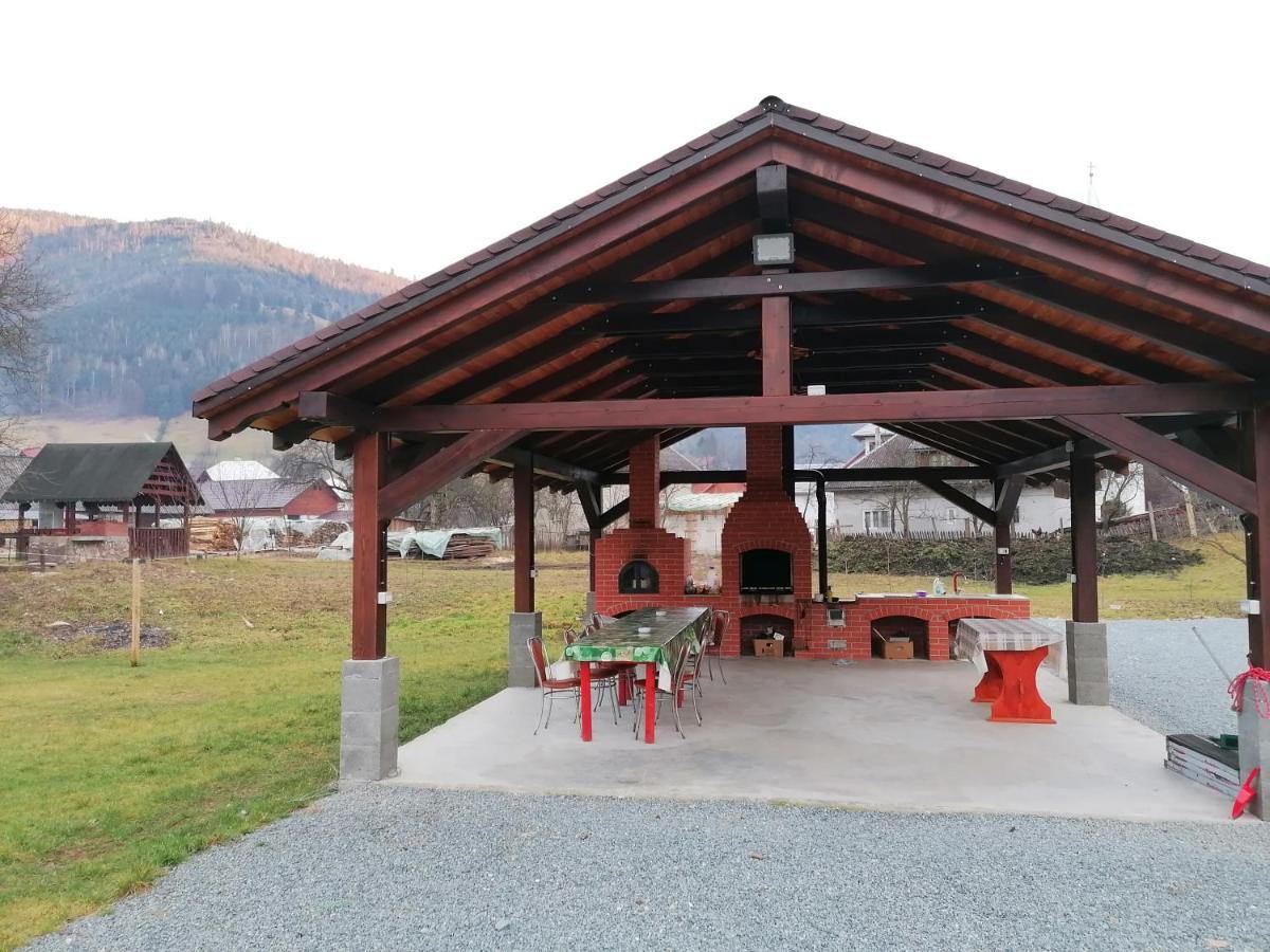 Pensiunea Armonia Albac Exterior photo